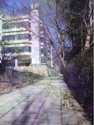 Dreamy Pastel Filtered Photo